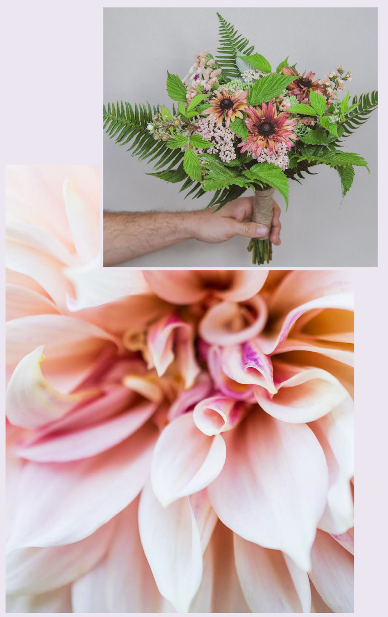 Wedding Flowers by Pollinate Flowers