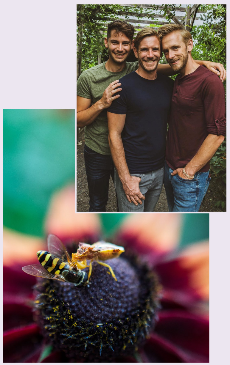 Meet the Pollinate Boys